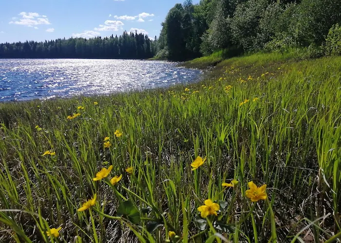 The Haven Of Riverside - Sieripirtti Villa